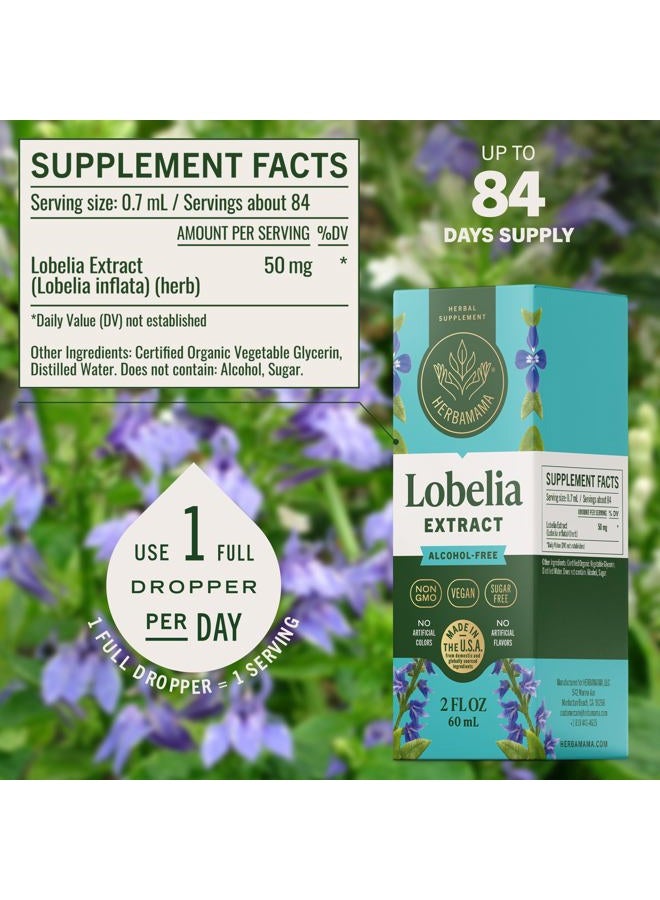 HERBAMAMA Lobelia Liquid Extract - Organic Herb Tincture Supporting Lung, Muscle & Joint Function - Natural Herbal Drops for Mood & Stress Relief - Vegan Supplement, No Sugar or Alcohol - 2 fl. Oz - Image 3