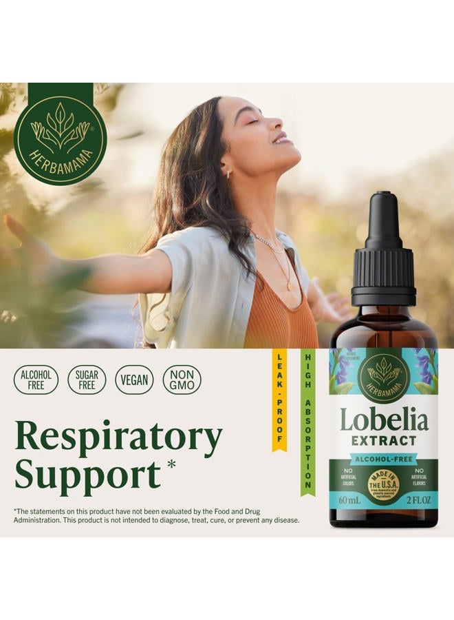 HERBAMAMA Lobelia Liquid Extract - Organic Herb Tincture Supporting Lung, Muscle & Joint Function - Natural Herbal Drops for Mood & Stress Relief - Vegan Supplement, No Sugar or Alcohol - 2 fl. Oz - Image 2