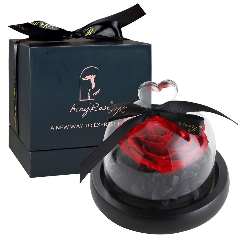 SW SW Forever Preserved Real Rose in Glass Dome  Eternal Heart Design Rose Flower Birthday Gifts for Women Valentines Day Mothers Day Christmas Anniversary  Unique Gift for Her Wife Mom 