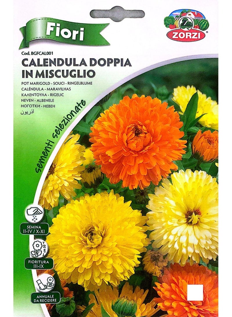 ZORZI Calendula Seeds - Image 1