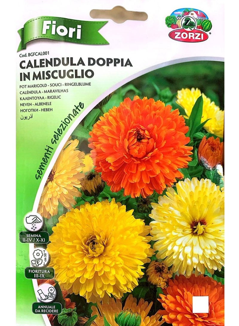 ZORZI Calendula Seeds - Image 2