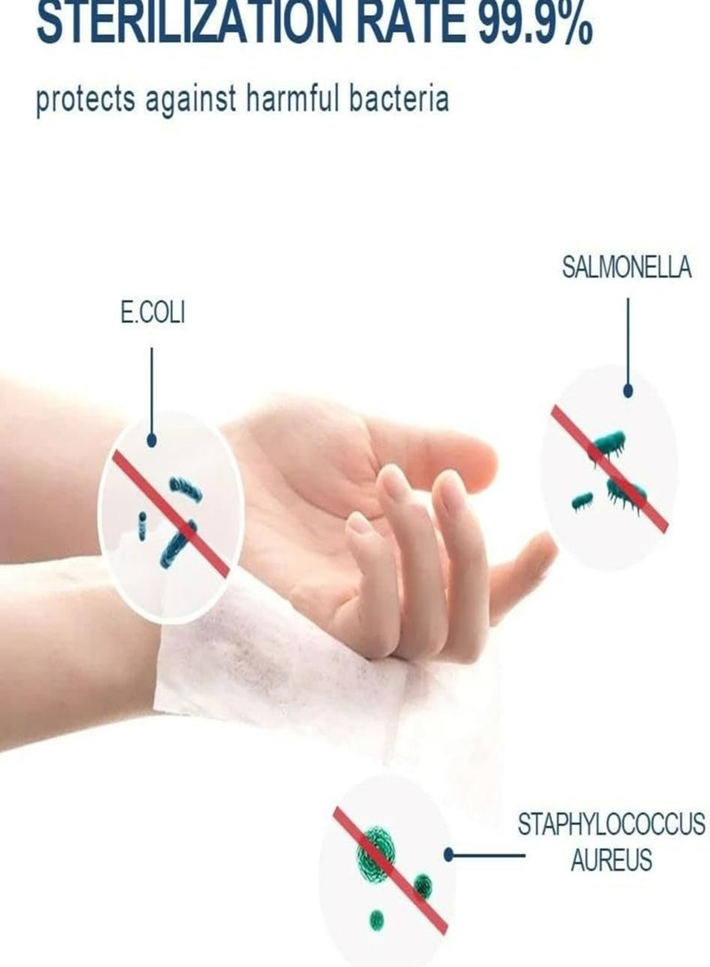 Sanitery Wipes   120 pcs