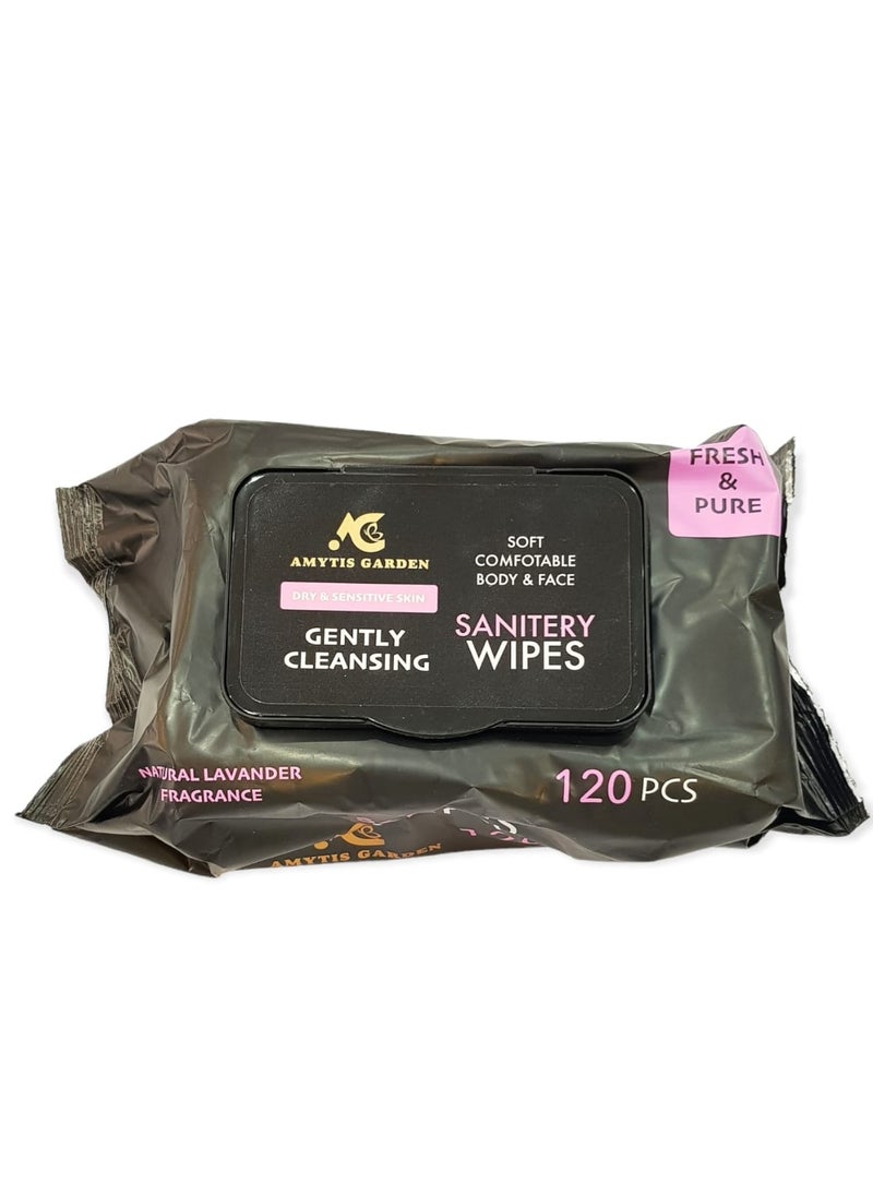 AMYTIS GARDEN Sanitery Wipes   120 pcs  - Image 2