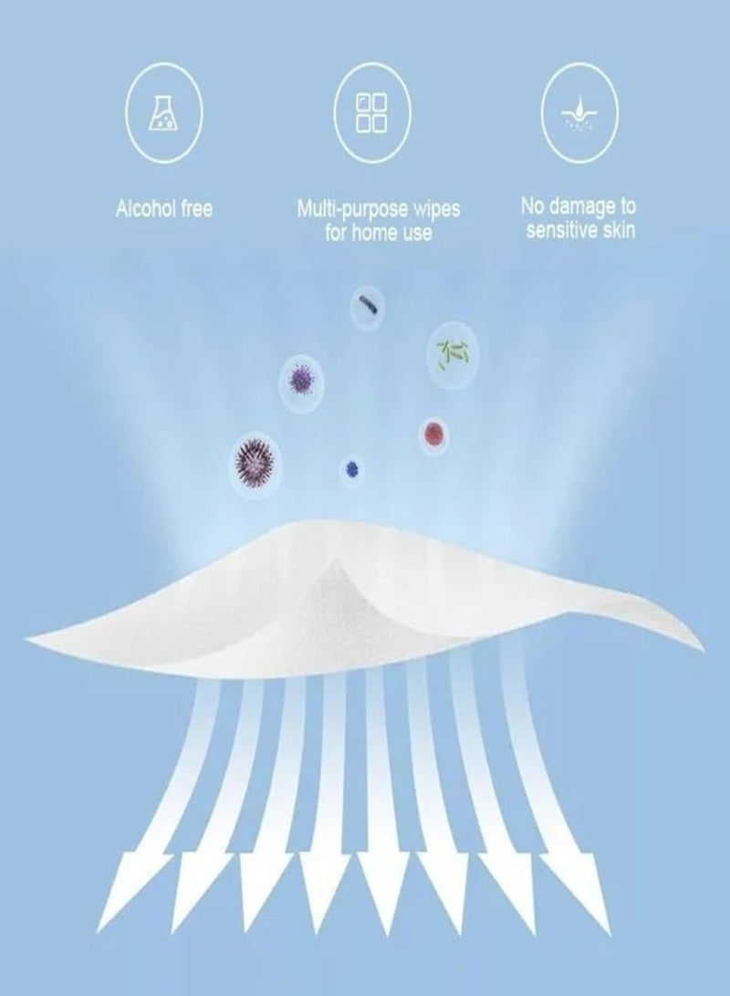 Sanitery Wipes   120 pcs