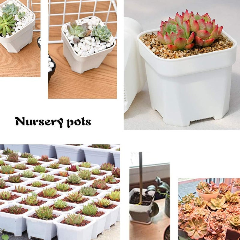OJYUDD 3inch White Square Plastic Pots with Saucer, Drainage Hole, 24 Pcs, for Flower/Plant, Home,Company,Office and Garden(White) - Image 3
