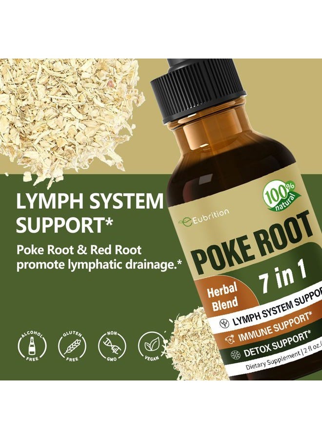 Eubrition Poke Root Drops for Lymph System Support, Lymphatic Drainage Supplement for Lymphedema, 7 in 1 Formula with Goldenseal Extract for Immune Support, Dandelion for Detox & Cleanse. 2oz - Image 2