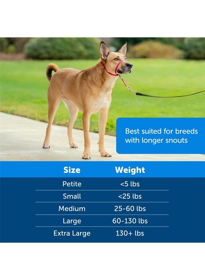 PetSafe Gentle Leader No-Pull Dog Headcollar - The Ultimate Solution to Pulling - Redirects Your Dog's Pulling For Easier Walks - Helps You Regain Control - Medium , Royal Blue