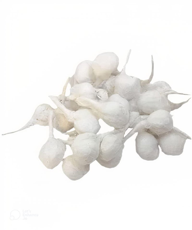 RK Trends Hand Made White Cotton Diya Batti Wicks Phool Batti for Diwali Pooja GOL Diya Batti for Puja Wicks GOL batti for Pooja Jyot Batti for Diwali Puja Navratri Pooja batti 3100 PCS - Image 5