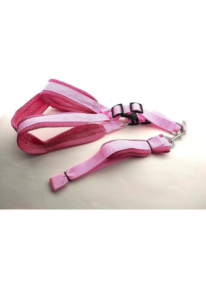 سترة مبطنة من النايلون الناعم وقابلة للتعديل مقاس 1 بوصة ومقود بمقبض طويل مثالي للمشي في الهواء الطلق/تدريب الكلاب والجراء - وردي (كبير) - Image 5