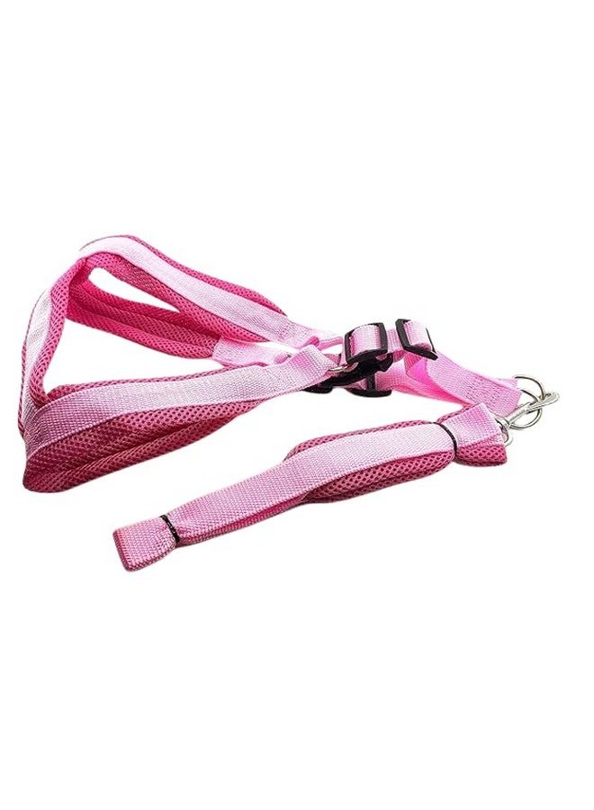 سترة مبطنة من النايلون الناعم وقابلة للتعديل مقاس 1 بوصة ومقود بمقبض طويل مثالي للمشي في الهواء الطلق/تدريب الكلاب والجراء - وردي (كبير) - Image 1