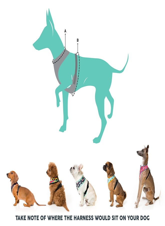 FuzzYard Ahoy There! Sailor Nautical Themed Harness for Dogs (Small) - Image 5