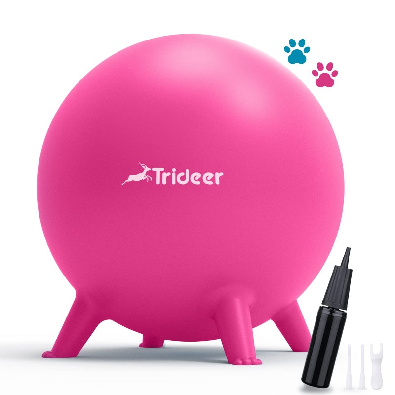 Trideer Flexible Seating for Classroom Elementary Yoga Ball Chairs for Kids Wobble Chair of School Supplies for Sensory Kids Student Desk Chairs for Homeschool Pink 55cm