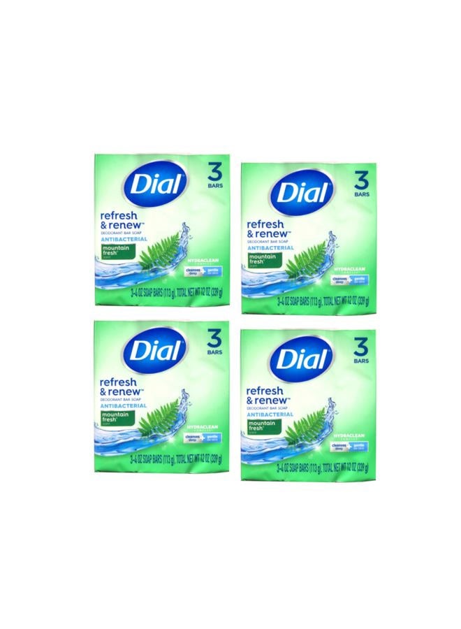 Dial Mountain Fresh Antibacterial Deodorant Bar Soap 3, 4 oz Soap Bars (Packs of 4) - Image 1