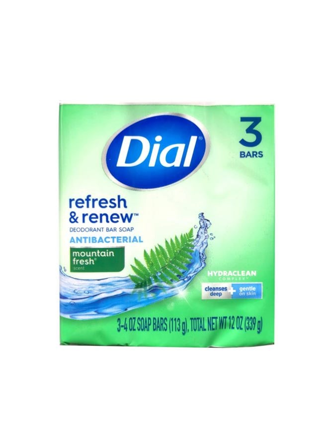 Dial Mountain Fresh Antibacterial Deodorant Bar Soap 3, 4 oz Soap Bars (Packs of 4) - Image 2