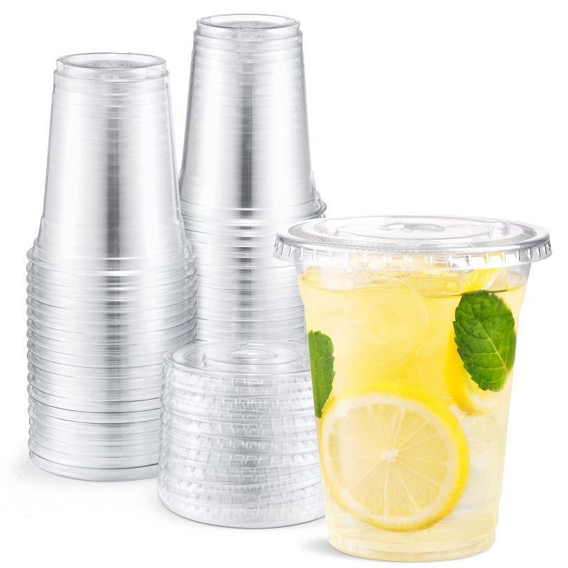 Eupako 12 oz Plastic Cups with Lids  100 Set Clear Disposable Party Cups for Cold Drinks Smoothies Milkshakes