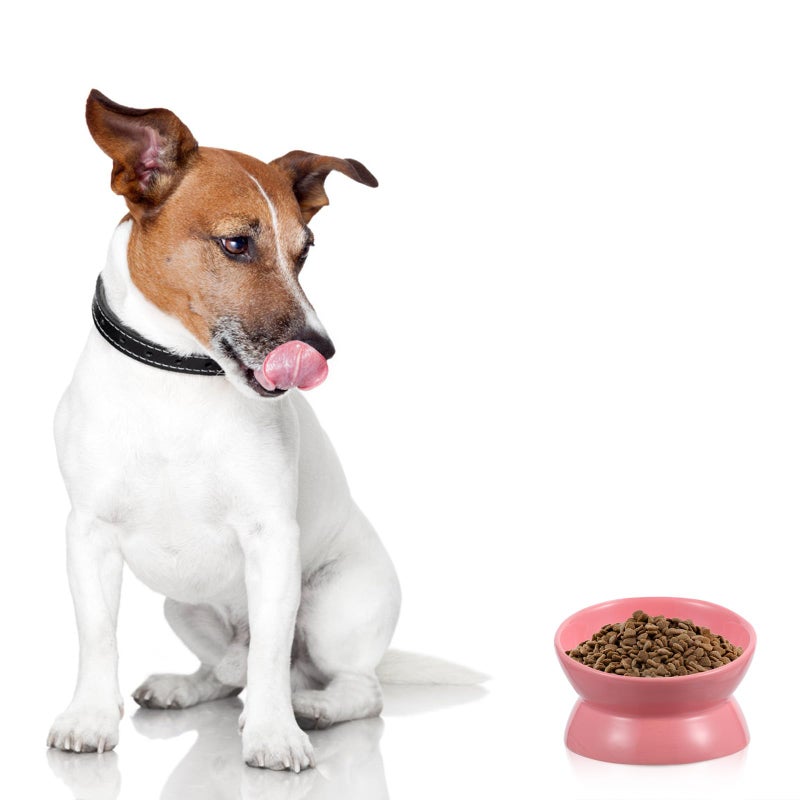 Ceramic Elevated Cat Food Bowl Slanted Feeder With High Base For Kittens Random Color - Image 5