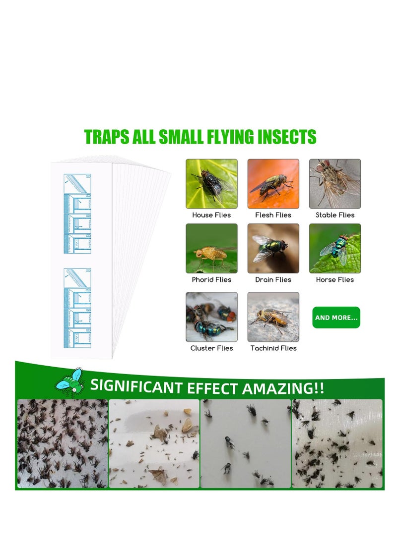 SYOSI - 30 Pack Window Fly Traps Indoor, Fruit Fly Traps for Indoors, Fly Paper Sticky Strips for Home Effective House Fly Killer, Safety & No Pollution, Suitable for Fruit Flies, Horse flies, Mosquitoes - Image 1