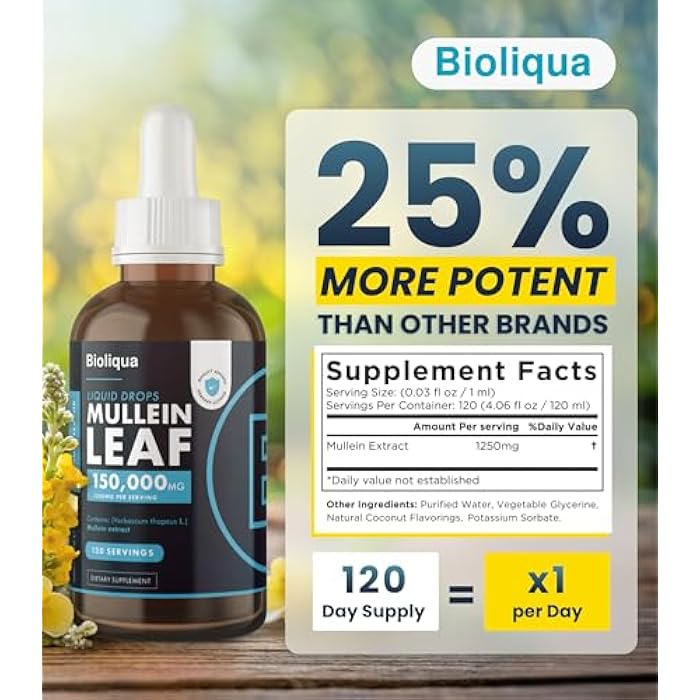 Balance Bioliqua Mullein Drops for Lungs - High Strength of 150,000mg per 4fl oz Tincture - 120 Servings at 1,250mg per Dose - Lung Detox & Bronchial Cleanse - Coconut Flavour - Image 3