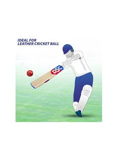 Intense Clout Kashmir Willow Cricket Bat Short Handle Mens | Each bat comes with a free cover