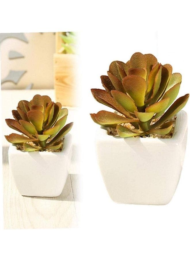 NIBEMINENT Artificial Plants Indoor Fake Succulents Potted Décor In Small Pots For Home Office Brown 5.5 x 6 8cm  - Image 4