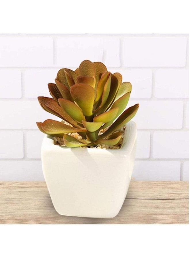 NIBEMINENT Artificial Plants Indoor Fake Succulents Potted Décor In Small Pots For Home Office Brown 5.5 x 6 8cm  - Image 2