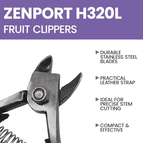 Zenport مقص فواكه زينبورت H320L فوجي/برتقال مع حزام، فولاذ مقاوم للصدأ مطروق، بطول 5 بوصات، أزرق - Image 4