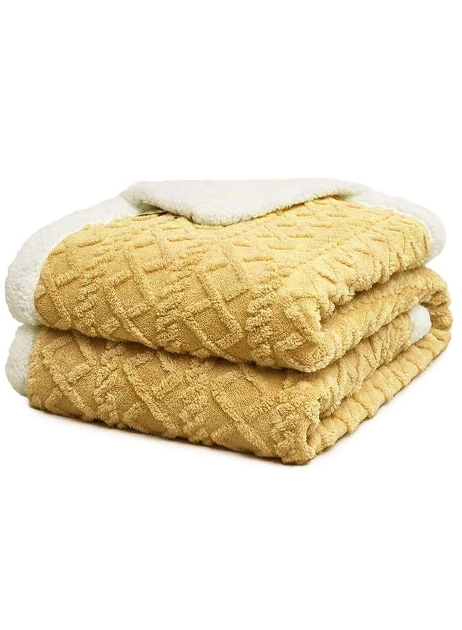 بطانية فليس ناعمة ودافئة وسميكة لشتاء، بطانية قابلة للعكس مريحة ورقيقة مناسبة للسرير والأريكة والكرسي. الحجم: 200*230 سم - Image 1