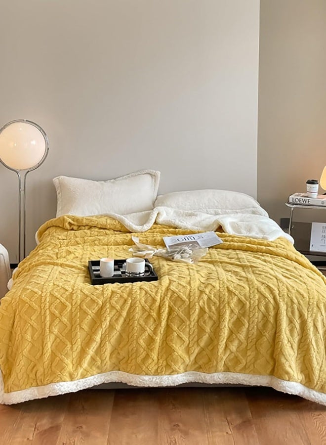 بطانية فليس ناعمة ودافئة وسميكة لشتاء، بطانية قابلة للعكس مريحة ورقيقة مناسبة للسرير والأريكة والكرسي. الحجم: 200*230 سم - Image 2