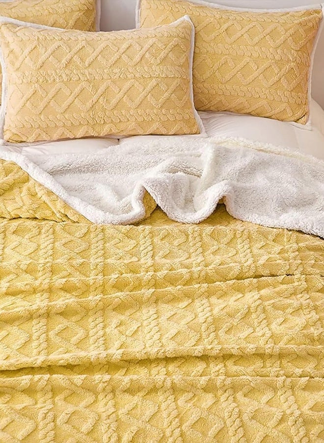 بطانية فليس ناعمة ودافئة وسميكة لشتاء، بطانية قابلة للعكس مريحة ورقيقة مناسبة للسرير والأريكة والكرسي. الحجم: 200*230 سم - Image 3