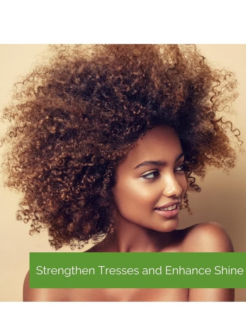 GIOVANNY Giovanni 2chic Gel Shampoo for Dry and Damaged Hair with Avocado and Olive Oil 250ml - Image 2