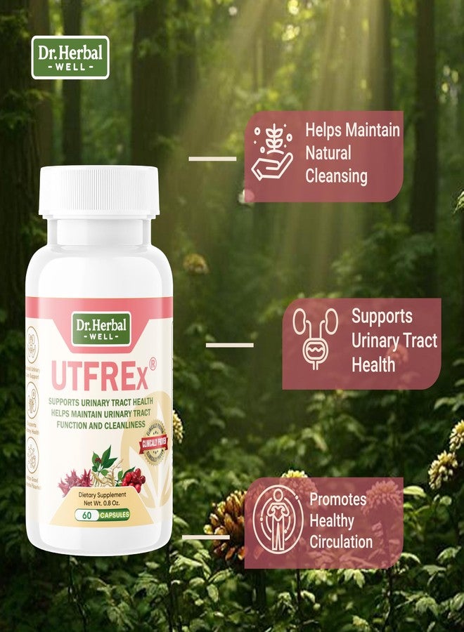 DR. HERBAL WELL دكتور هيربال ويل يتفريكس، مكمل غذائي مثبت سريريًا لصحة المسالك البولية، يدعم صحة المسالك البولية، ينظف ويحمي (خالٍ من البروبيوتيك والمانوز) - 60 كبسولة - Image 4