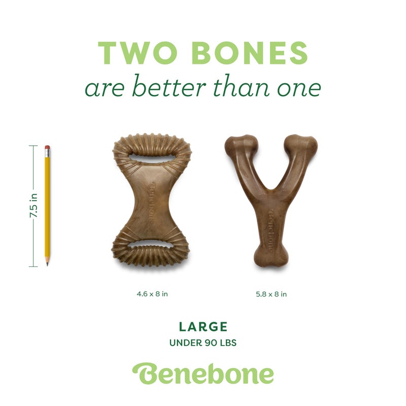 Benebone 2-Pack Wishbone/Dental Durable Dog Chew Toys, Real Bacon, Made in USA, Large - Image 4
