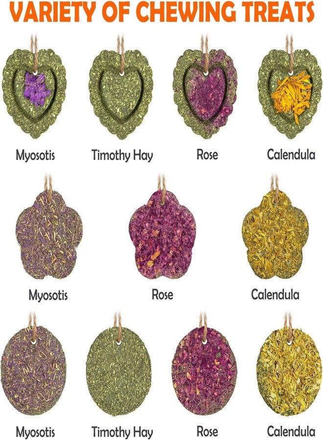 Sofier 20Pcs Timothy Hay Treats - Natural Chews for Teeth - Handmade Rabbit, Chinchilla, Gerbil, Rat, Hamster Toys - Bunny & Guinea Pig - Image 2