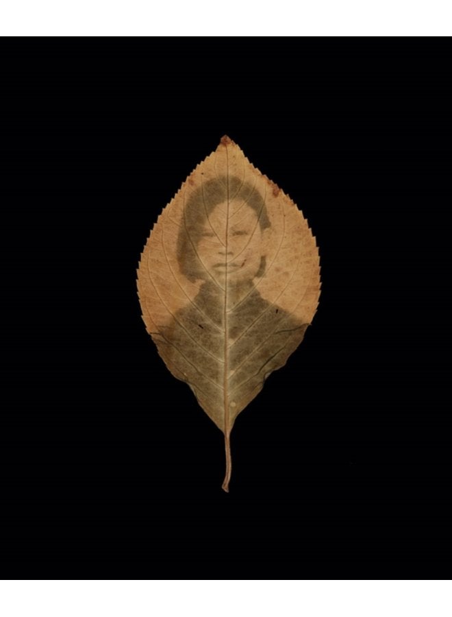 Binh Danh The Enigma of Belonging - Hardback