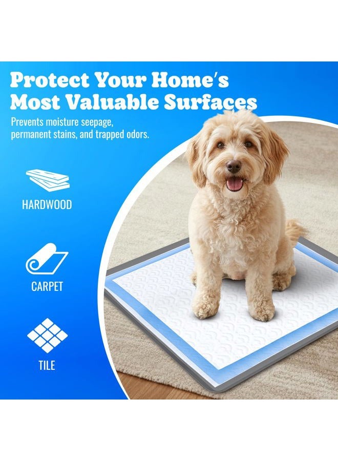 Skywin Dog Puppy Pad Holder Tray - 24 x 24 Inches Training Pads - Silicone, Dark Grey - Image 3
