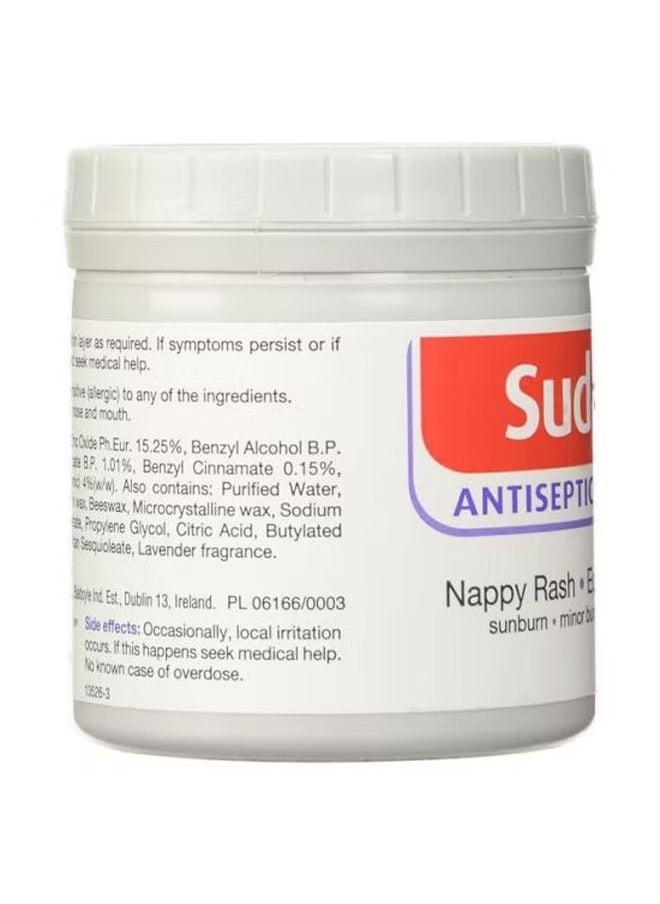 Sudocrem Antiseptic Healing Cream for Nappy Rash and Minor Skin, 250 grams  - Image 2