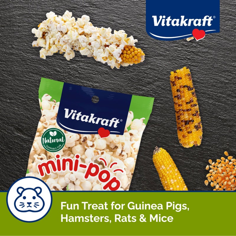 Vitakraft Mini Pops Treat for Small Animals - 100% Real Corn Cob - Supports Healthy Teeth - 6 oz - Image 3