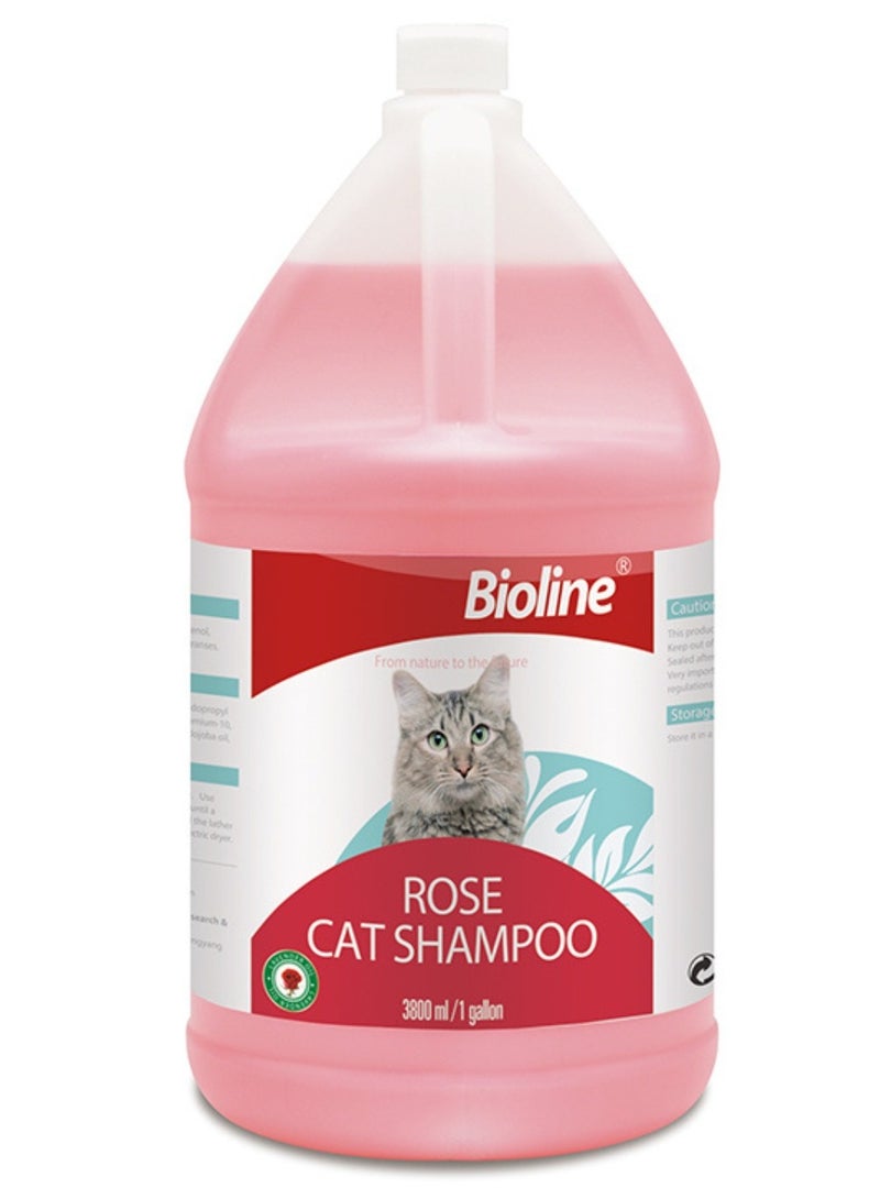 بايولاين شامبو روز كات 3.8 لتر