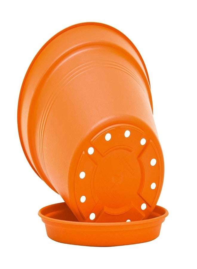 Mintra Home Garden Pots 4pk - Flowers, Herbs, Plants, Indoor, Outdoor, Colorful, Wholesale, Bulk (Orange, 11cm Diameter (4.3in)) - Image 4