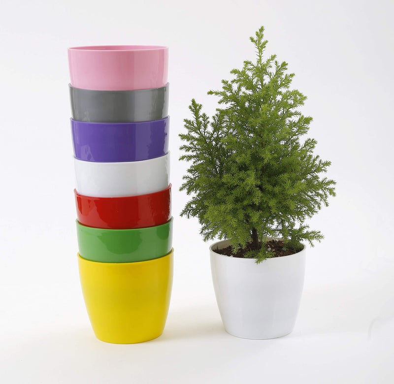 CAPPL Plastic Pot, Multicolour, 5 in, 6 Pieces - Image 2