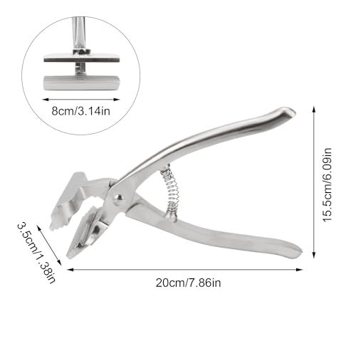 Rongon Professional Canvas Pliers for Stretching Canvas, Oil Canvas Stretcher Paint Canvas Stretching Plier Heavy Duty Aluminum Alloy Webbing Stretcher Tool for Stretching Clamp Oil Painting - Image 2
