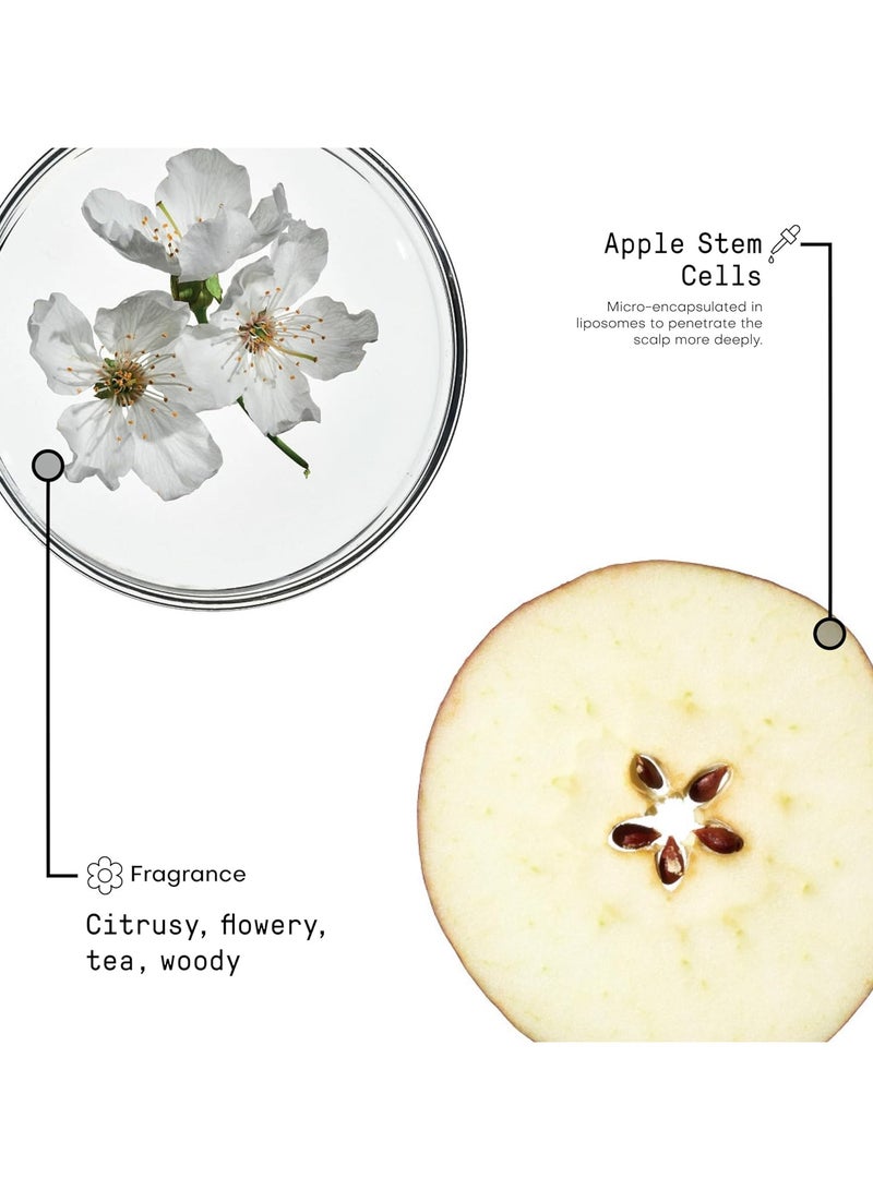 فراميسي مورفوسيسيس - شامبو مكثف 1000 مل - Image 3