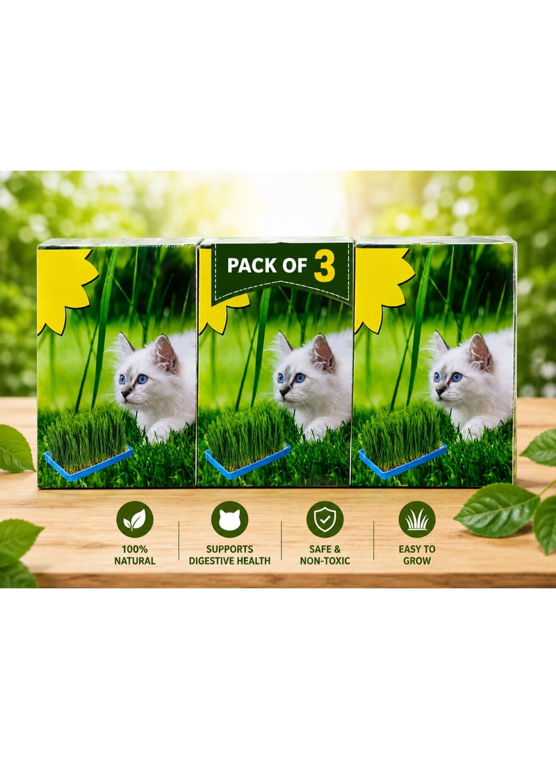 vsell24 Pack of 3 Cat Grass Seeds – Nutritious & Fresh Pet Grass Seeds for Cats | Easy Grow Indoor Plant for Healthy Digestion & Hairball Control - Image 5