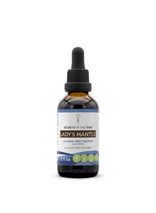 Secrets of the Tribe Lady's Mantle Tincture Alcohol-Free Liquid Extract, Lady's Mantle (Alchemilla vulgaris) Dried Herb (2 FL OZ) - Image 1