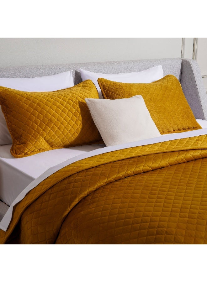 Pan Home طقم غطاء سرير مخمل مزخرف 3 قطع 220X240 سم - ذهبي - Image 2