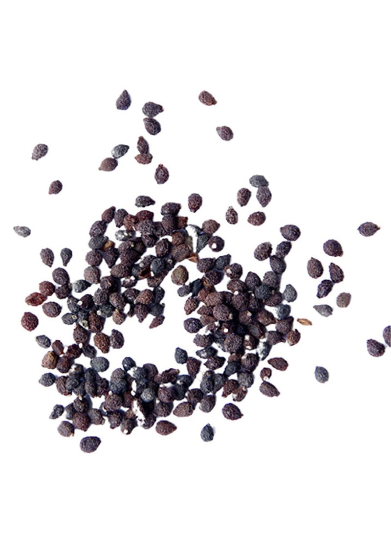GGOOT - 200pcs Pepper Seeds Flower Green Vegetable Fruit Garden Plant Easy to Take Care - Image 1