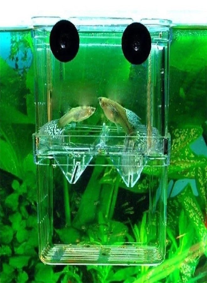 LinaLife Multifunctional Fish Aquarium High Clear Fish Breeding Isolation Box Aquarium Breeder Fishtank Double Guppies Hatching Incubator Divider Agreesive Injured Pregnant Fishes - Image 3