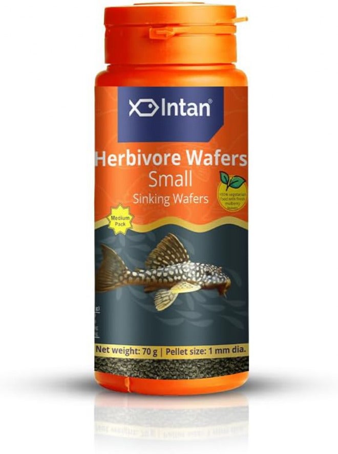 Intan Growel Intan Herbivore Wafers (Small 1mm Sinking) | 70gm - Highly Nutritious Ornamental Fish Food for Herbivorous Fish - Mollies, Mbunas & Plecos - Image 1