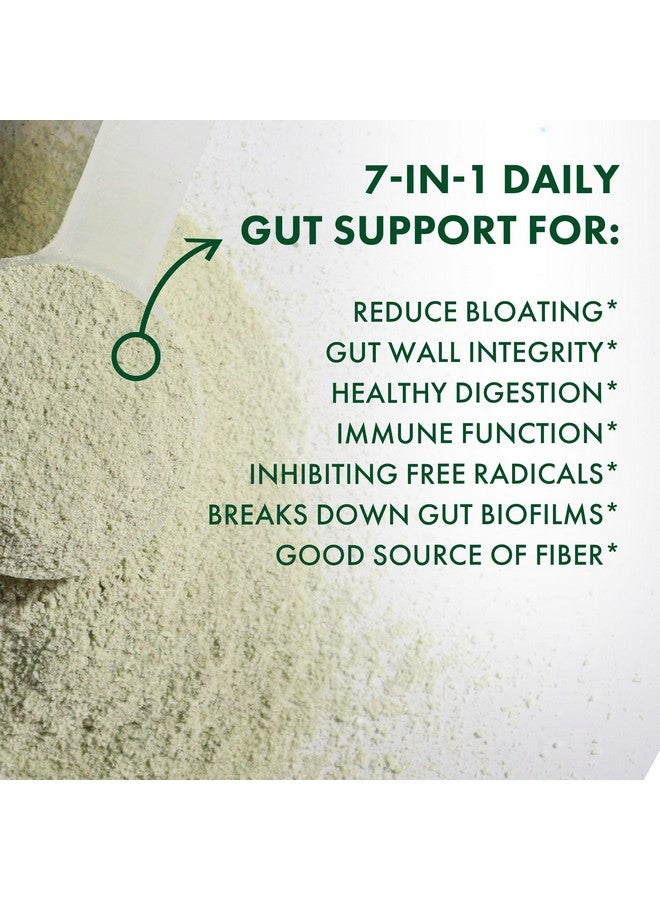 BIOHM Digestive Greens, Green Superfood Powder (7.4 Oz, 30 Servings) Immune & Gut Health Support with Antioxidants, Vitamins, Probiotics & Enzymes, Good Source of Fiber, Berry Flavor - Image 2