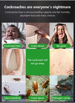 Occuwzz Pest Control is highly effective for indoor and outdoor pest prevention  - Image 3